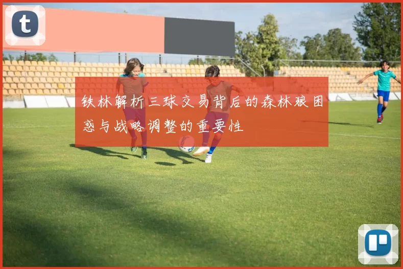 铁林解析三球交易背后的森林狼困惑与战略调整的重要性